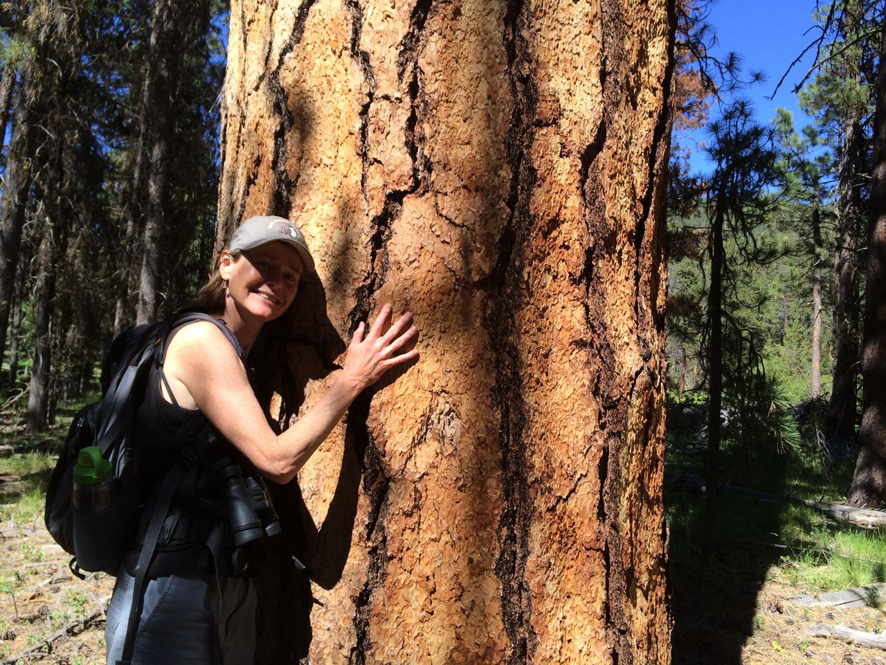 sandra&ponderosanforkmalheur