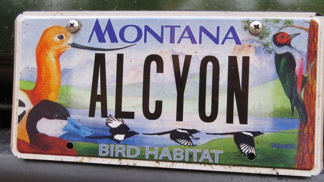 Alcyon license plate