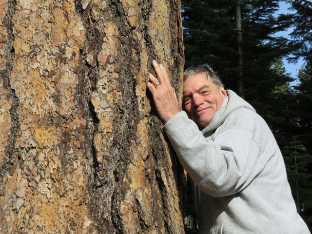 My dear friend Brock Evans communes with an ancient ponderosa pine recently in Hells Canyon.