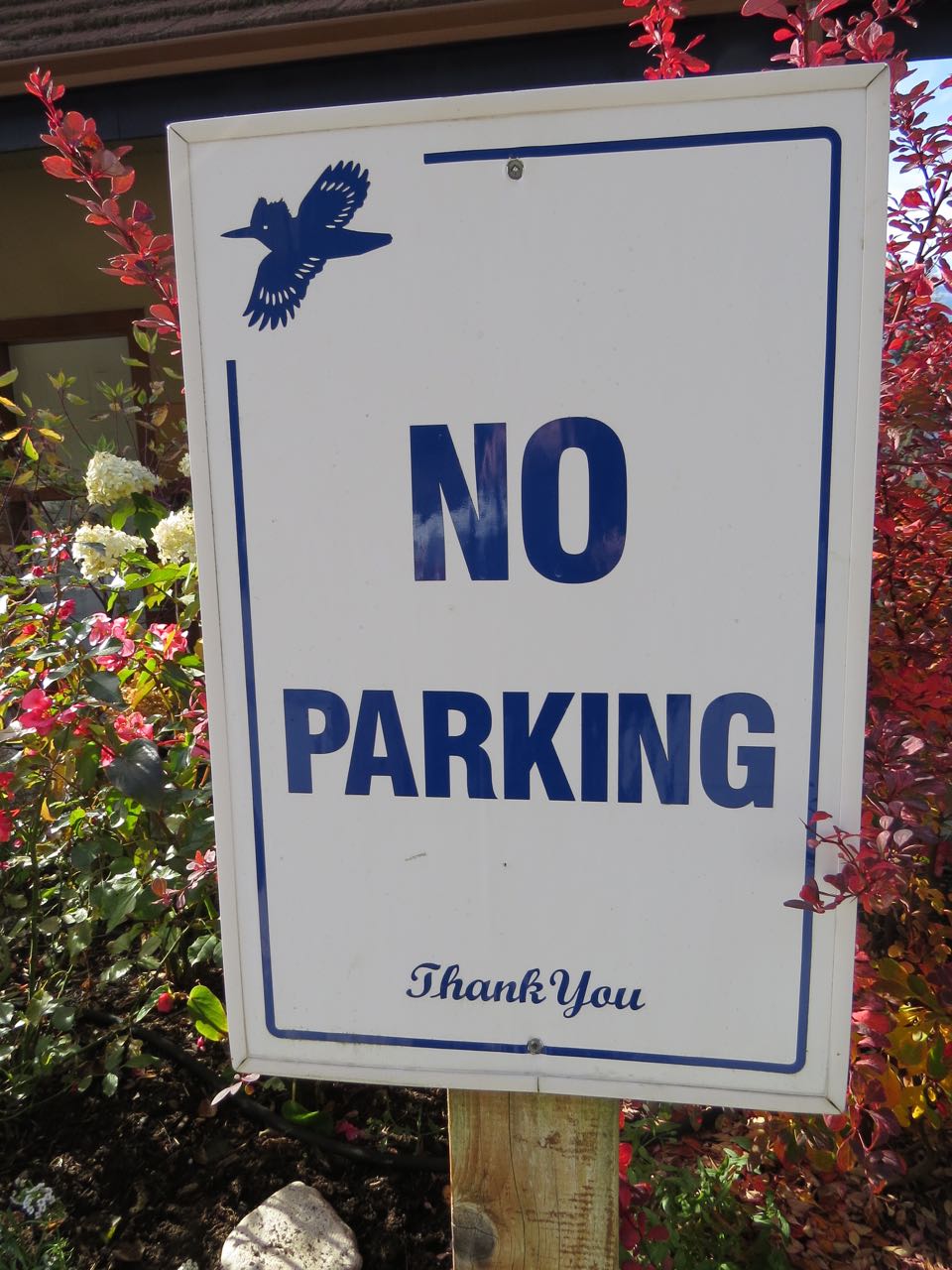 kingfisher no parking sign