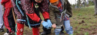 Credit: http://ctuir.org/history-culture/first-foods