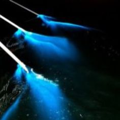 ecf4f155c2fc500a07dc89cc78d83b45