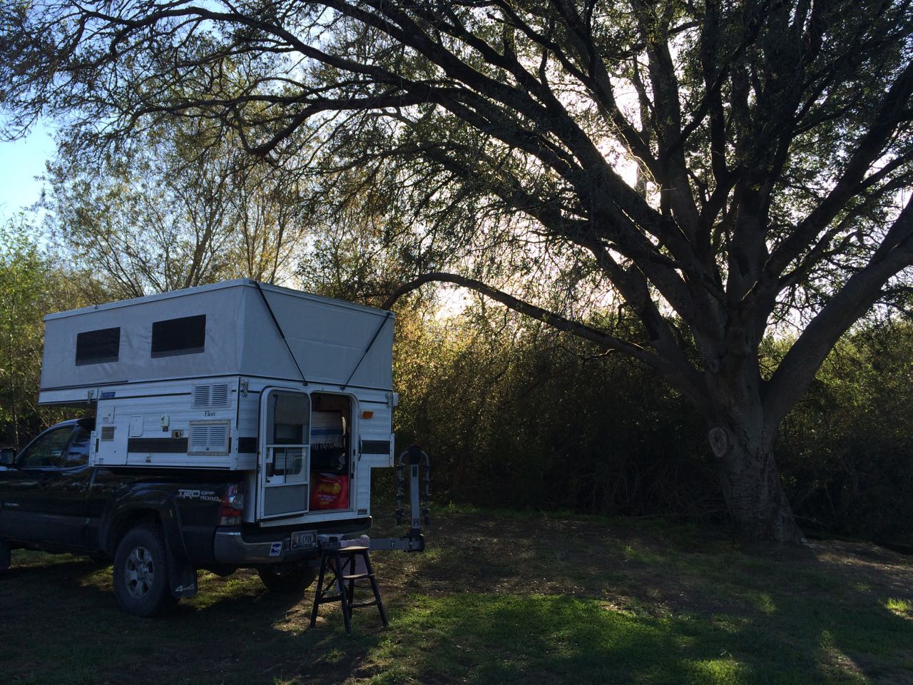 Return to my camper/writing studio--inspired below the coastal oak, by Olema Creek where a kingfisher flies.