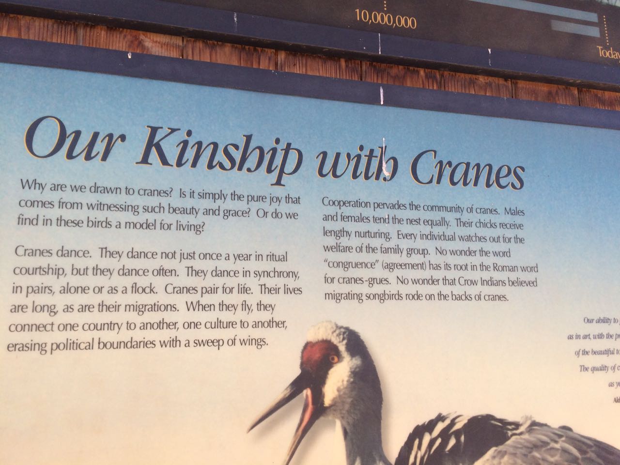 crane interpretive sign