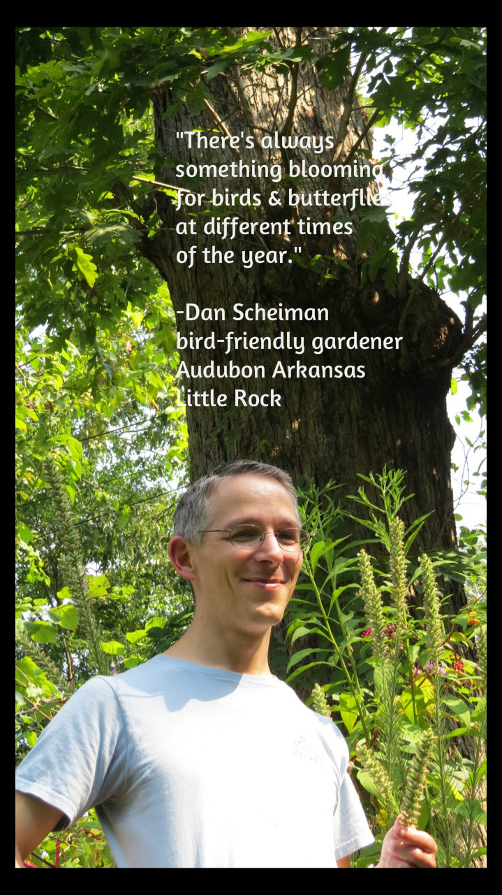 Dan with oak tree -quote