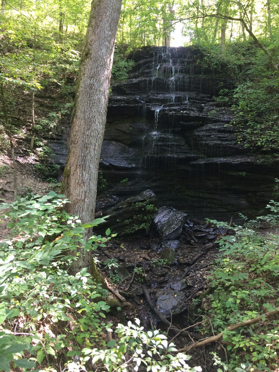 Natchez Trace Parkway, TN