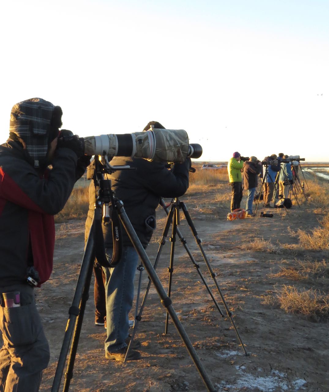 photographers of cranes