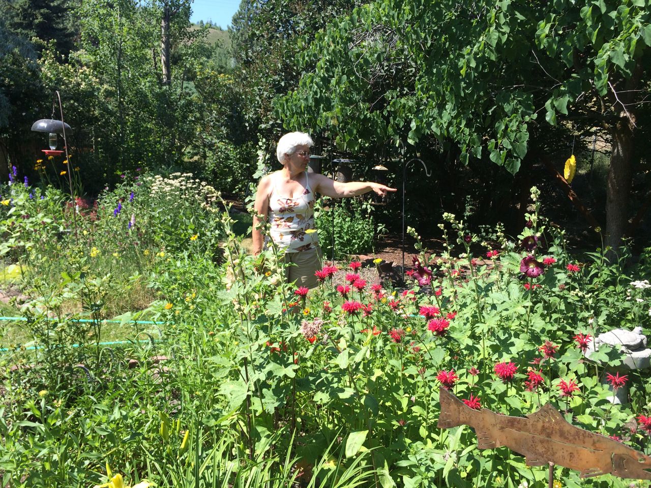 sueDinwildflowergarden