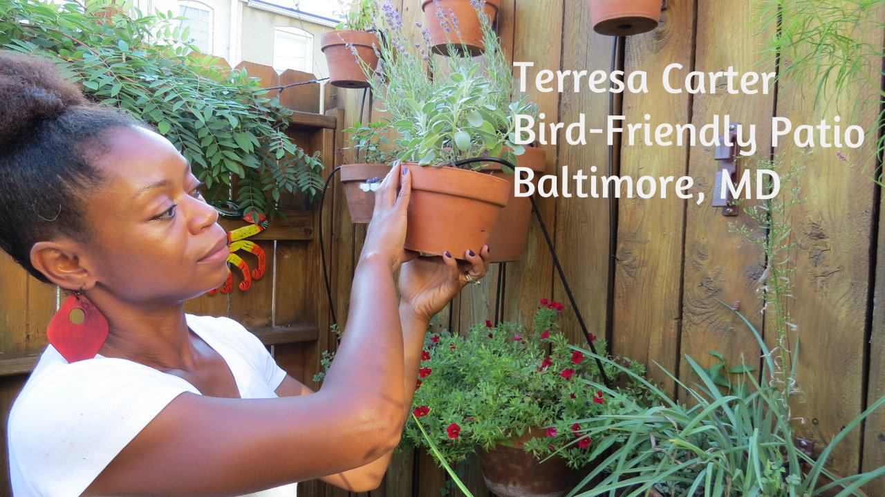 Terresa Carter-bird-friendly