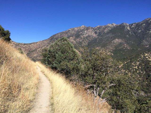 madera canyon trail
