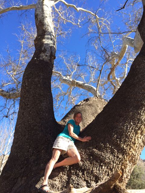 marina in sycamore.jpg