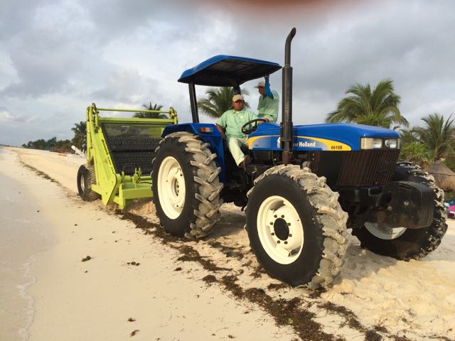 surfrakewithpeople-princess