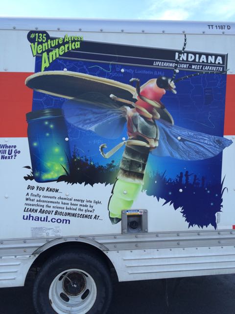 U-haul bioluminescence