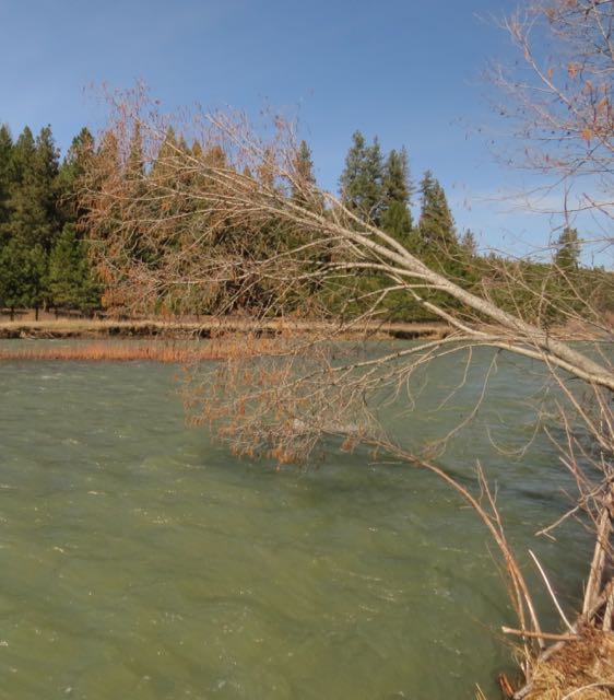 grande ronde early spring