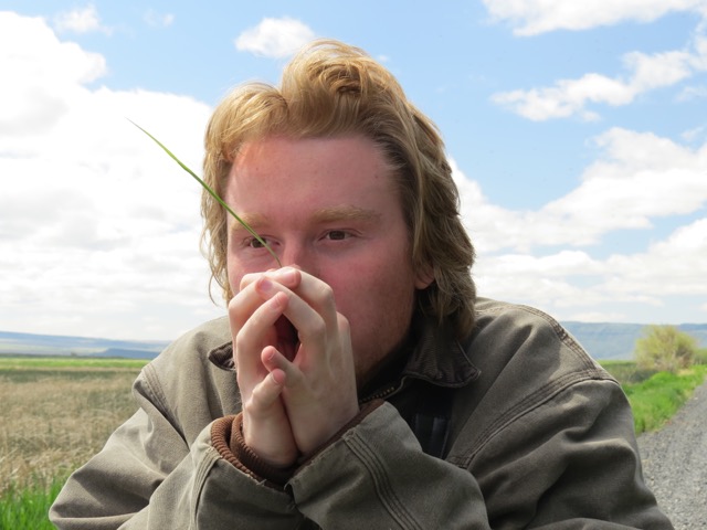 Ian blows through grass