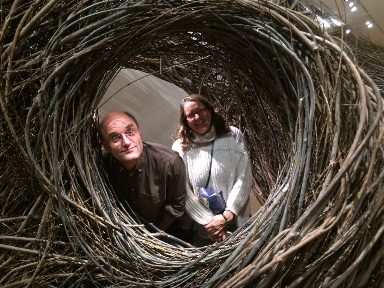 Wonder-Rob/Cynthiabirdnest