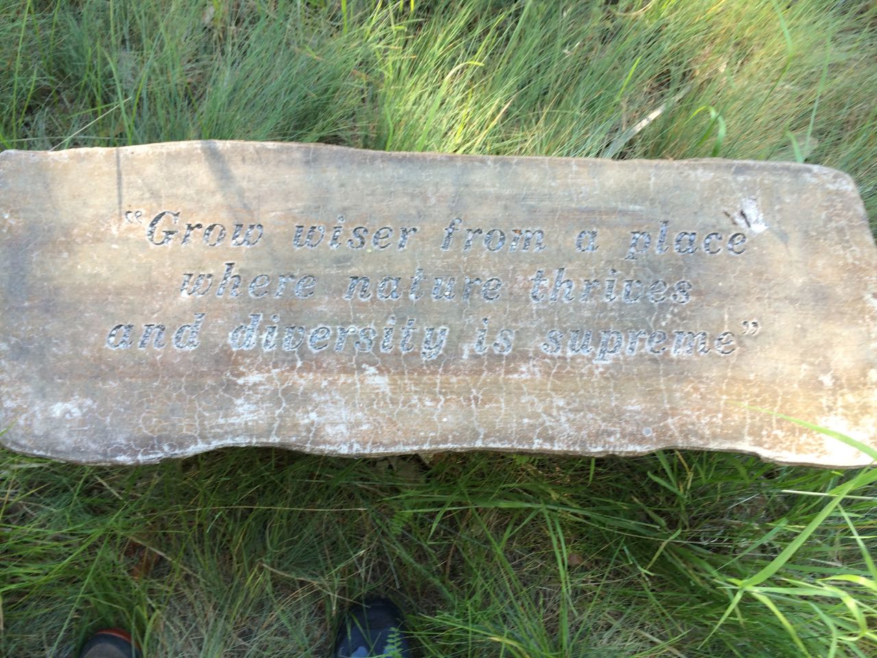 AndyHuber--sayingonrock