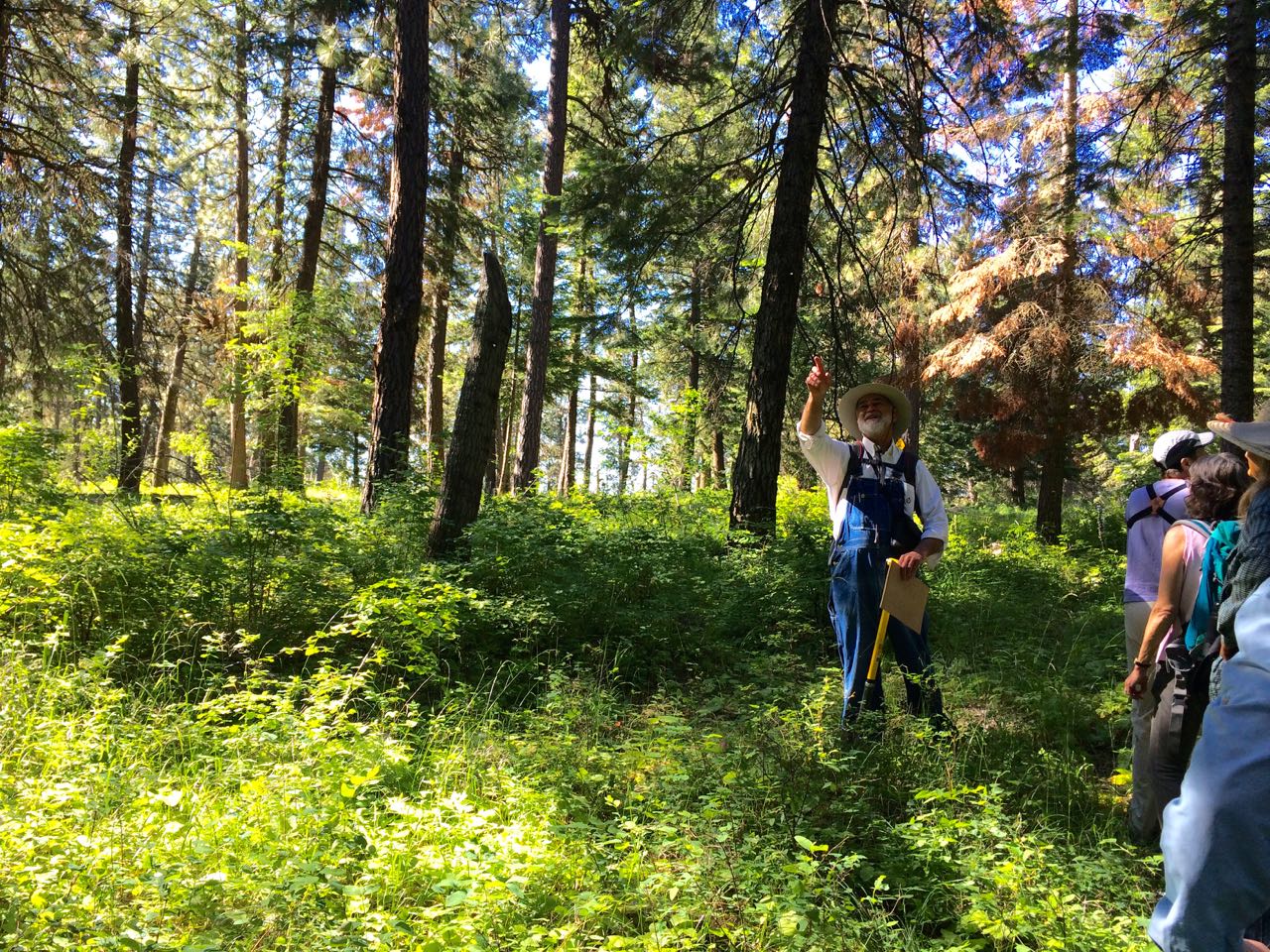 Andyinterpretingtheforest