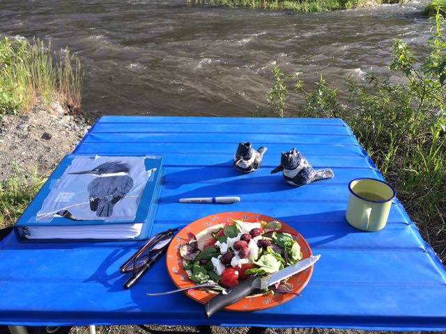 DINNER WITH KINGFISHERS-IMNAHA