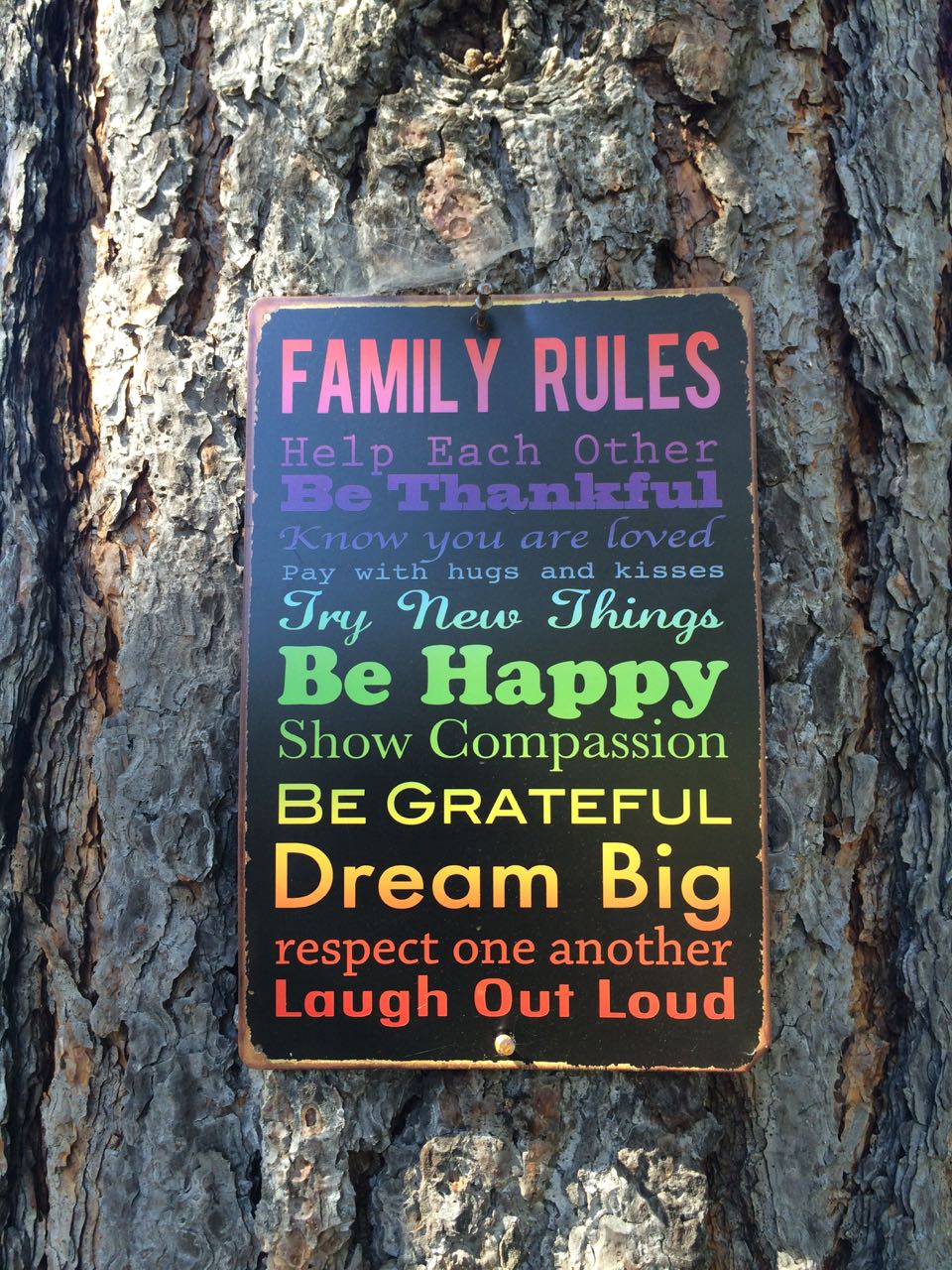 FamilyRules quote