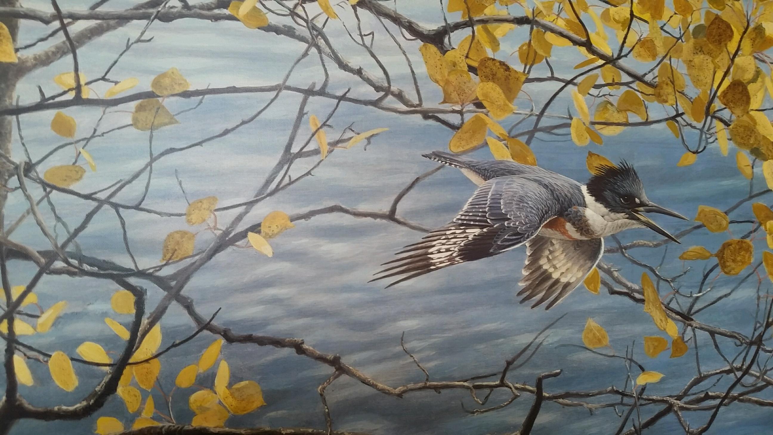 KingfisherBatemanprint