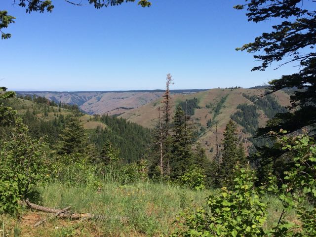 Umatilla Rim Trail