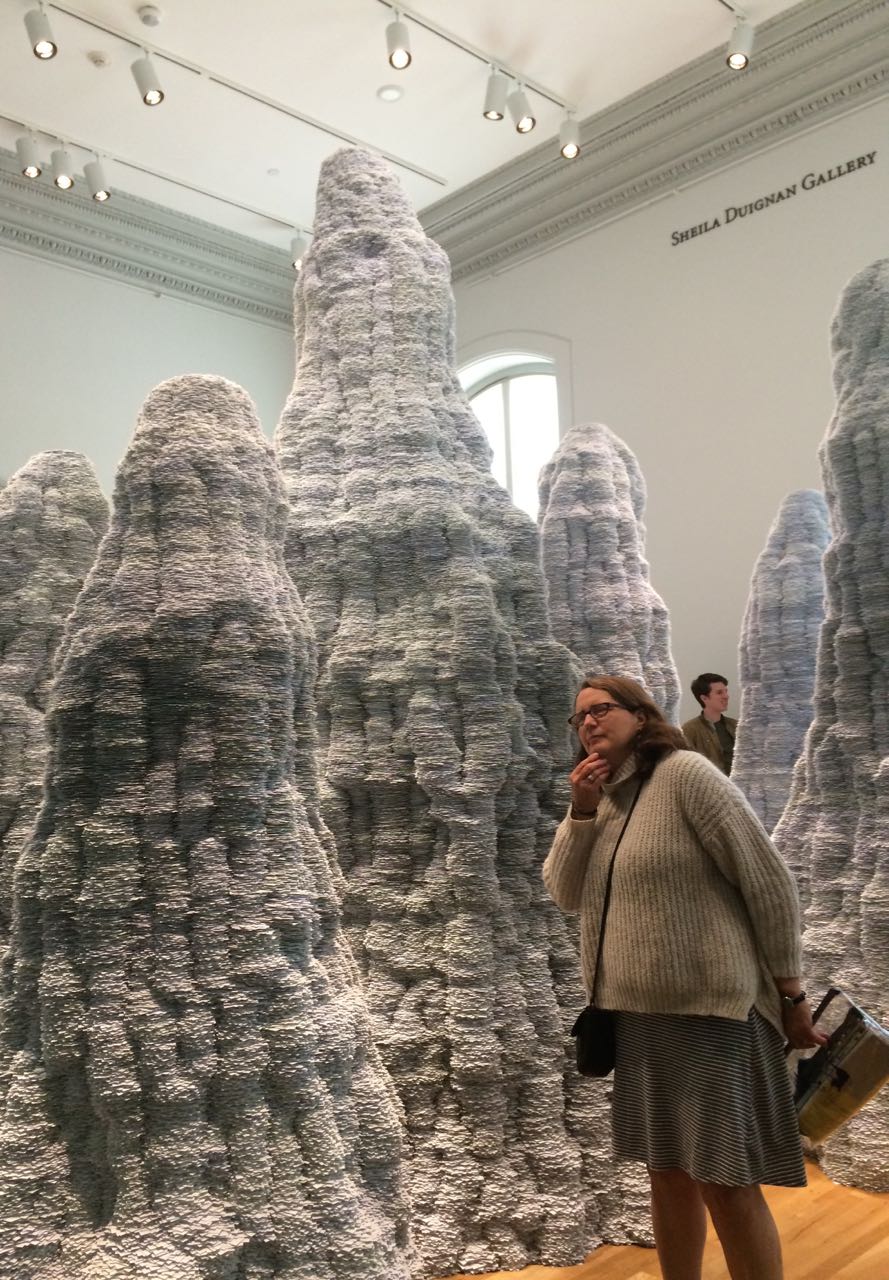 Wonder- TaraDonovan art