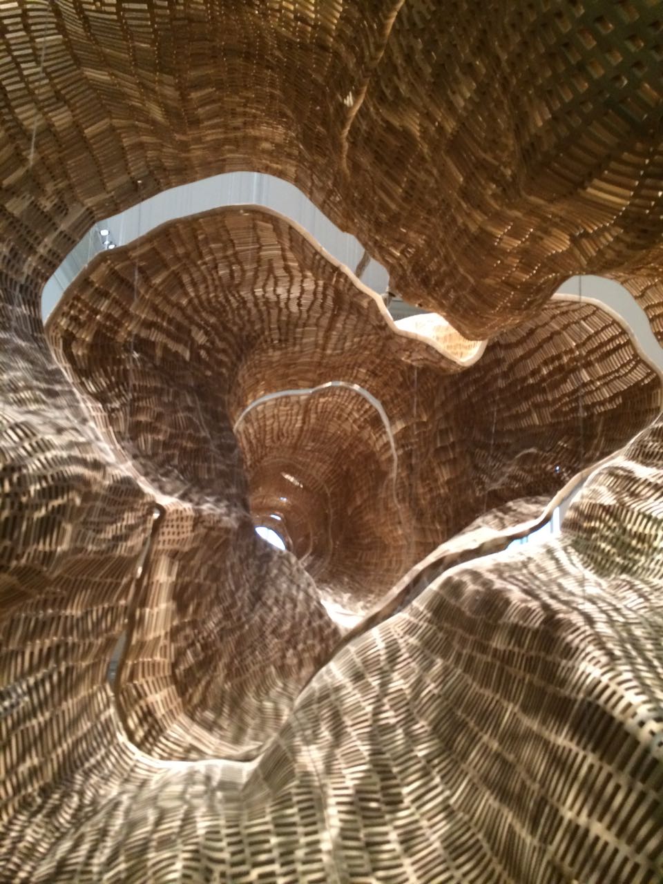 Wonder-treeinterior-johngrade