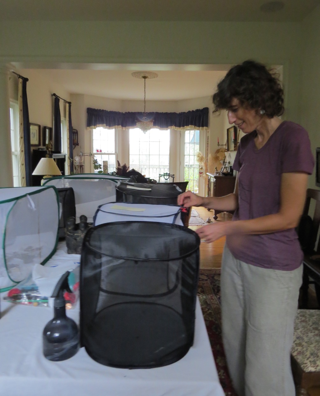 Nicole tending butterflies in house