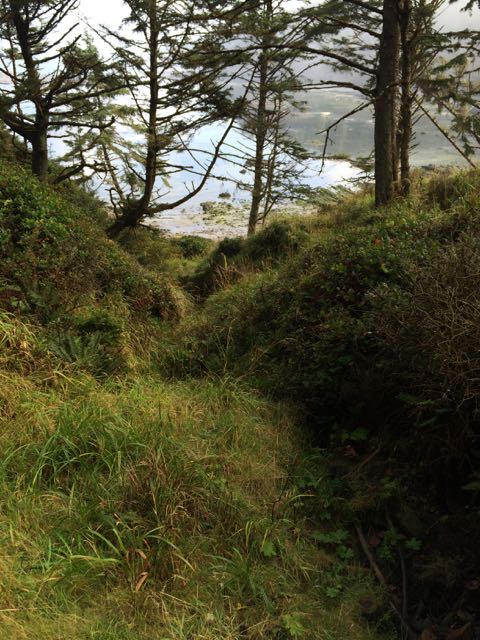 trail to North Cape Arago beach/intertidal