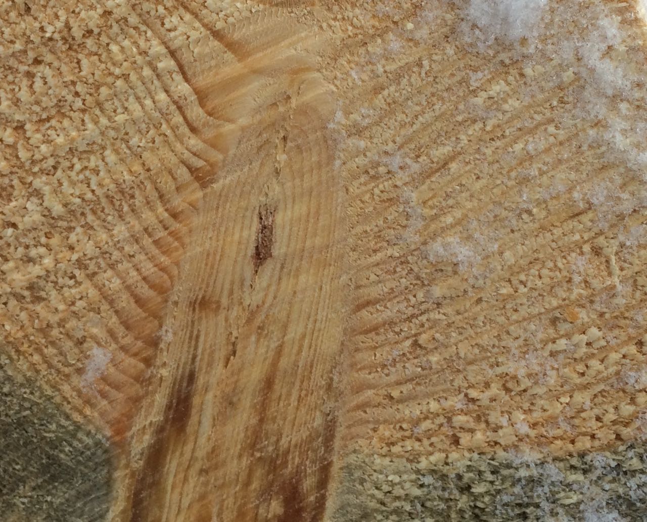 wood grain with snow