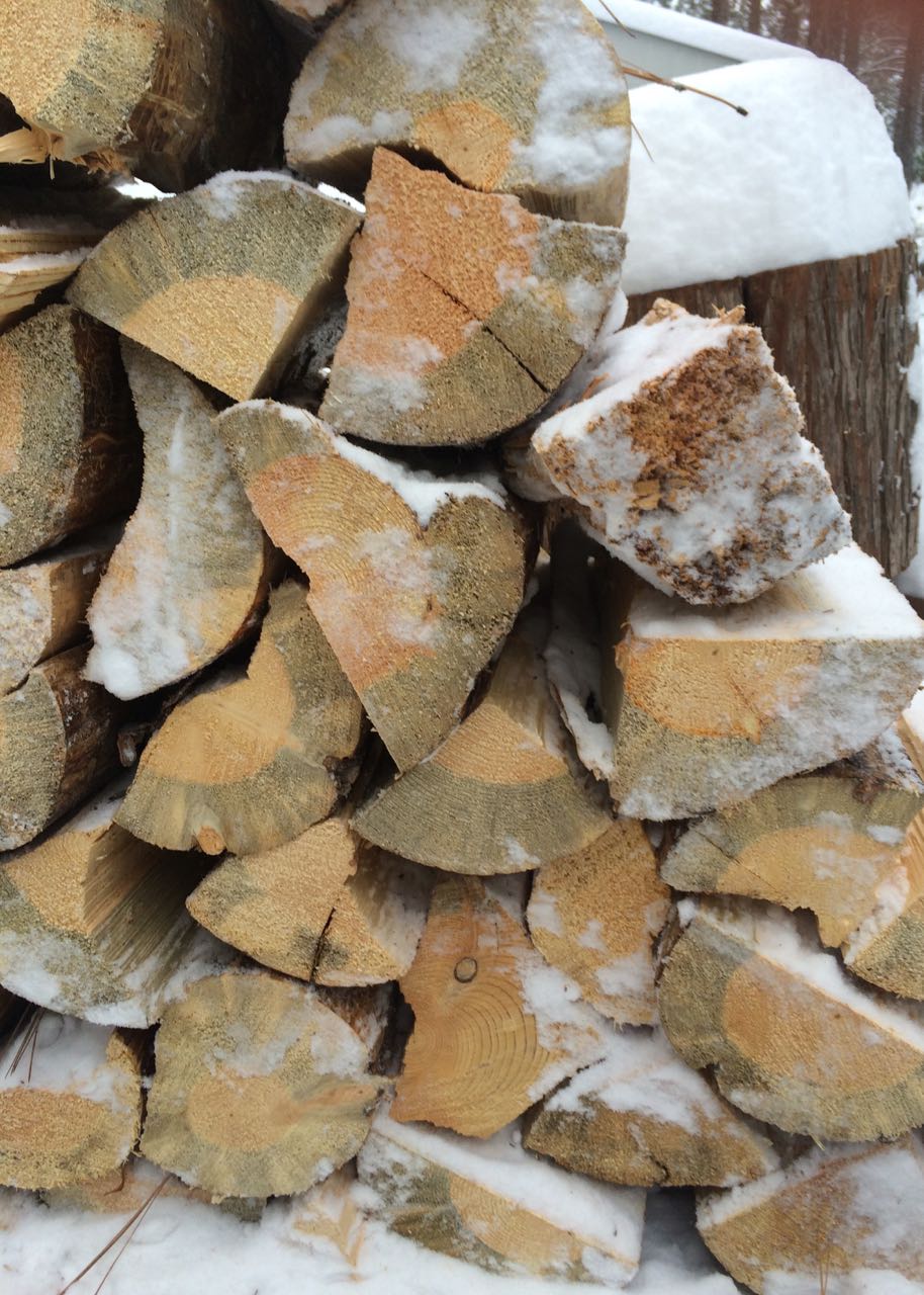 woodpile close up