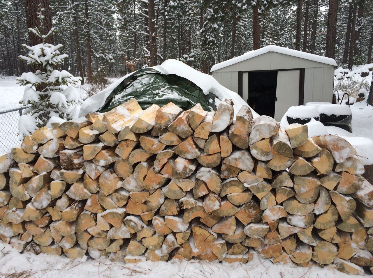 woodpile