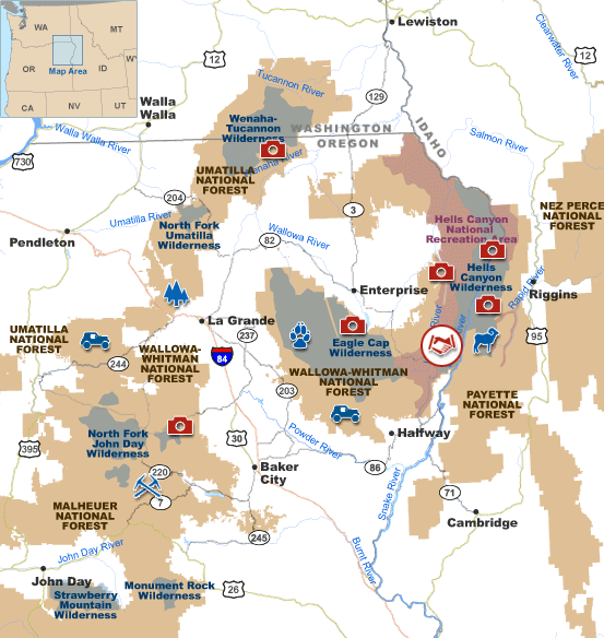 item_map_collaborative