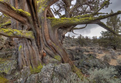 9a132cc7-4f01-4921-a953-7e1ebffda1af