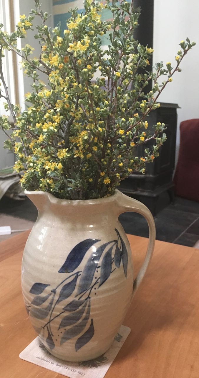 Bitterbrush bouquet