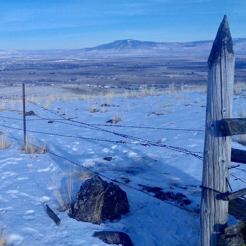 26172623_10211323031017750_5878316512948720374_o