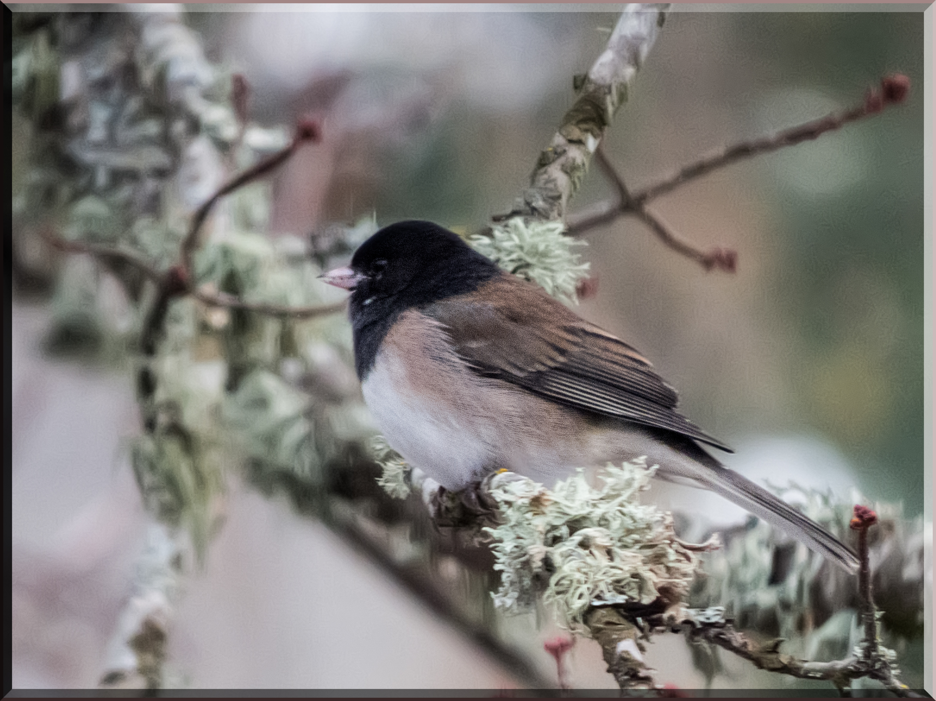 11368788056_16ebe5bd24_o