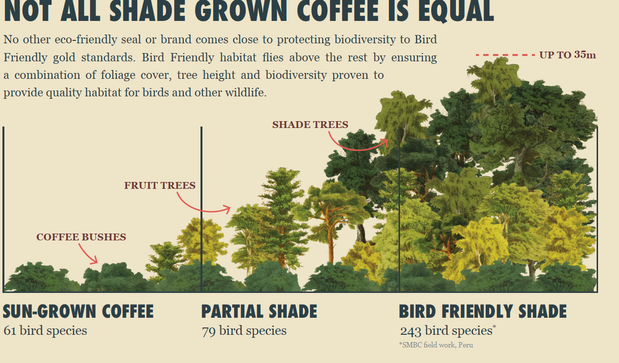 Screen Shot 2019-02-13 at 9.02.30 AM