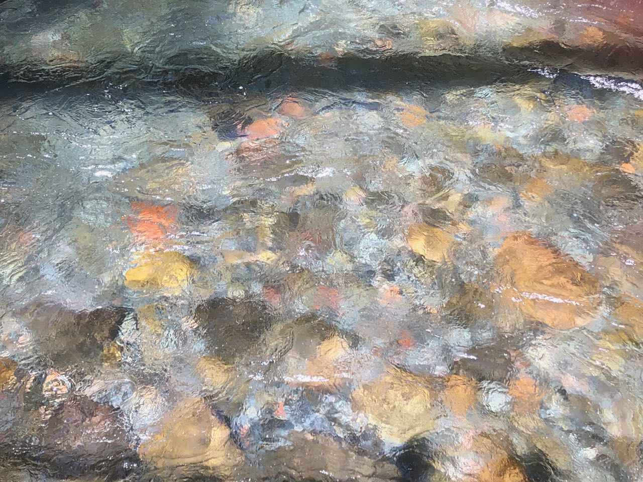 Breitenbush River up close