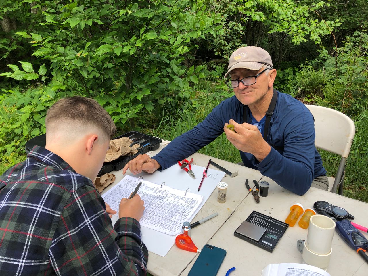Mark Hopey bird banding