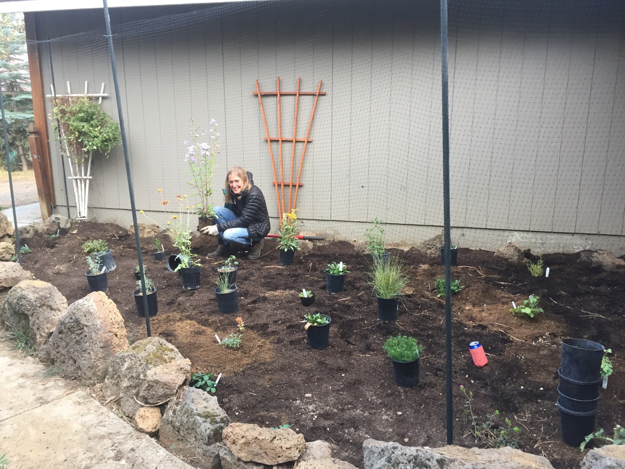 Marina places plants- Sept. 2017