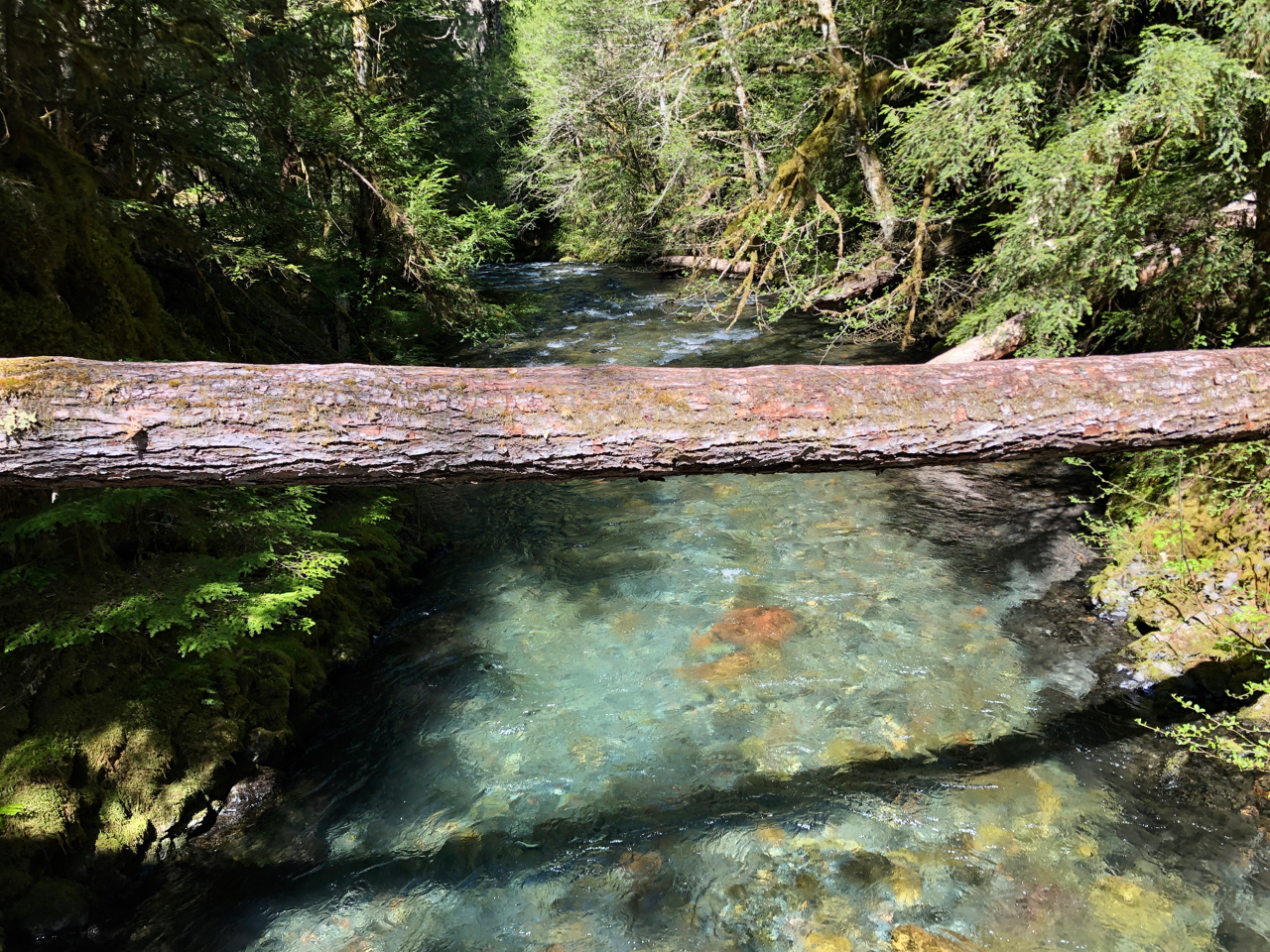 Breitenbush (name?).jpg