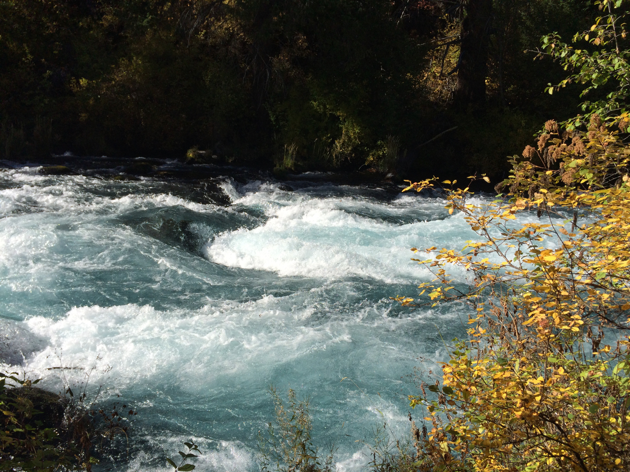 Metolius River.jpg
