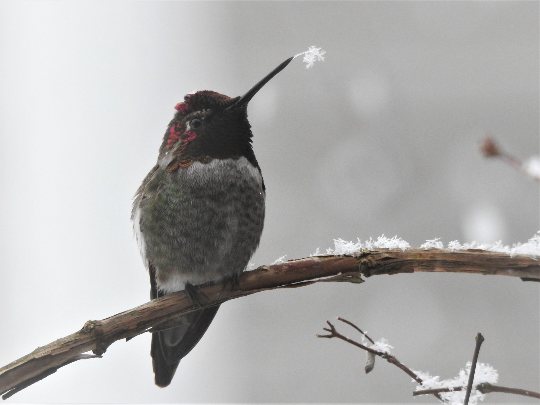 82042149_10220397108978544_2534669112873844736_o