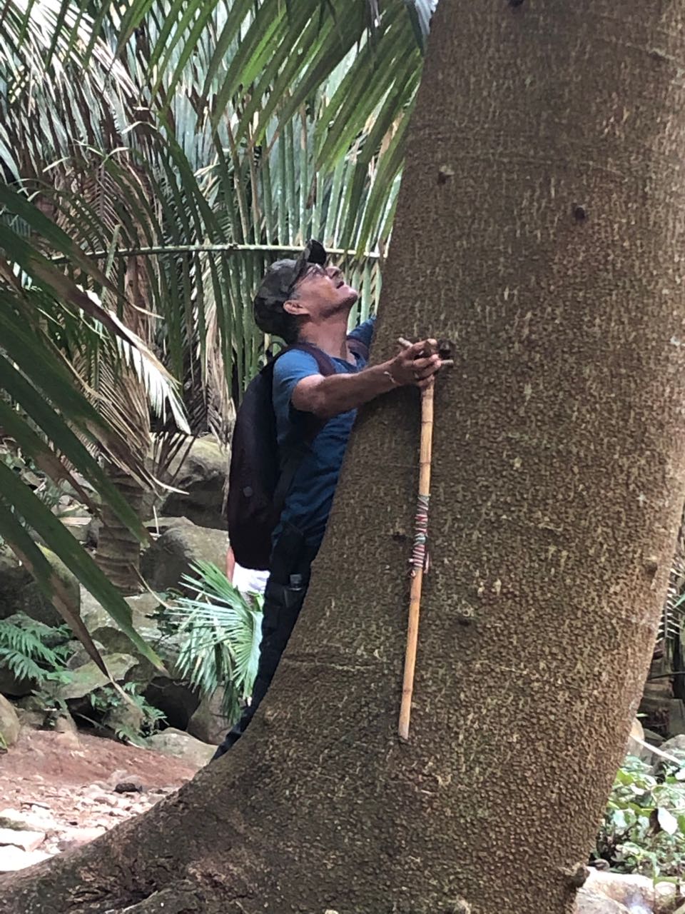 Mauricio hugs the tree