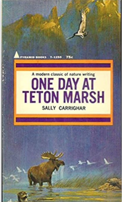 Screen Shot 2020-08-31 at 6.58.43 AM