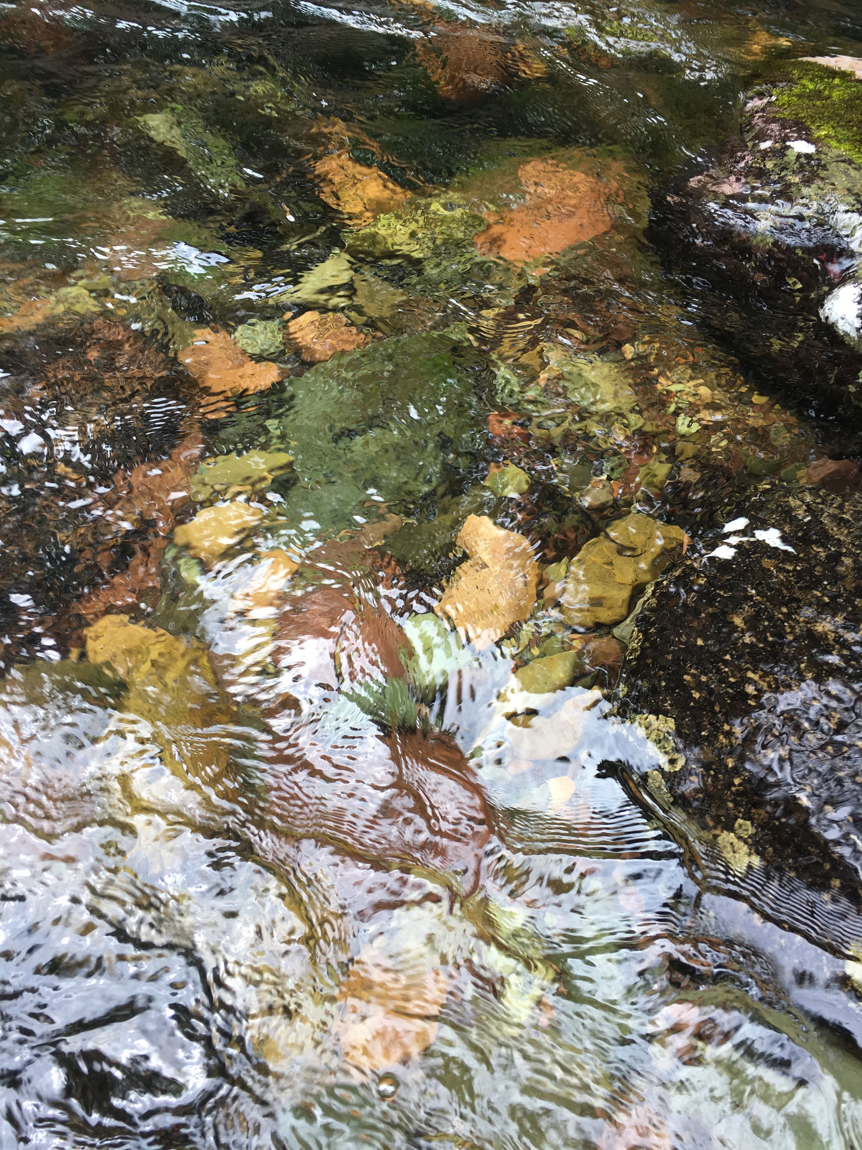 Rattlesnake Creek stones underwater